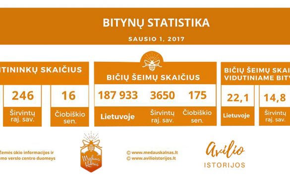 2017 bytynų statistika Medaus kalnas